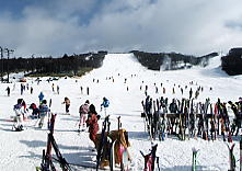 ���C�v���q��