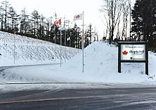 ���C�v���q��