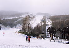 ���͍���