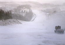 ���͍���