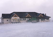 ���͍���