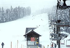 �O���[���s�A�Ó�