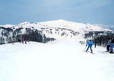 �������ێR