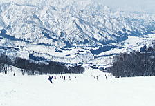 �X�L�[�ʐ^�F���C�R�_�E���q���R�[�X