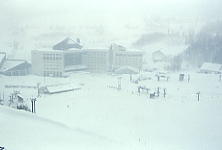 �O���[���s�A�Ó�