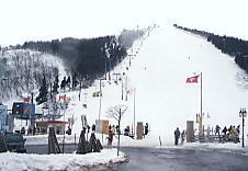 �I�q����