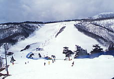 �I�q����