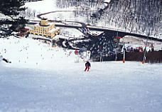 �I�q����