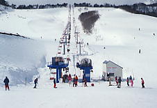 �I�q����