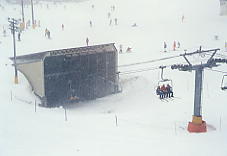 �I�q����