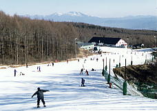 ���C���G�b�N�X