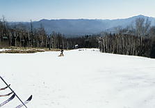 ���C���G�b�N�X