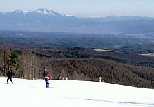 ���C���G�b�N�X