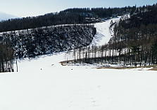 ���C���G�b�N�X