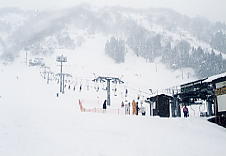 ���򍂌��z��