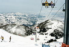 �K�[������