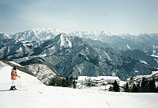 �K�[������