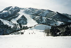 �K�[������