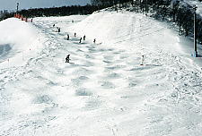 �K�[������