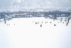 ���򍂌��z��