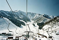 �_������