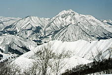 �_������