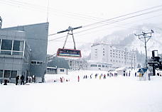 ���򍂌��z��