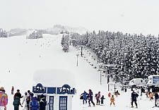 ����p�[�N