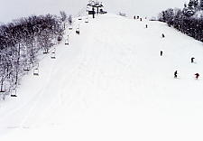 ����p�[�N