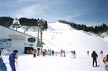 �K�[������