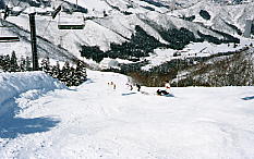 �_������