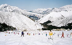 �_������