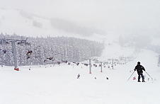 ����p�[�N