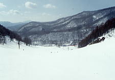 �����q��