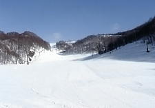 �����q��