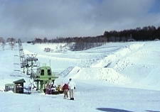 �����q��