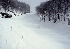 �����q��