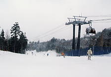 �ۏ�����