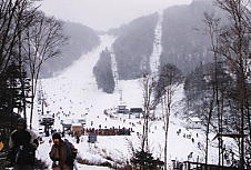 �ۏ�����