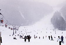 �ۏ�����