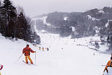 �ۏ�����