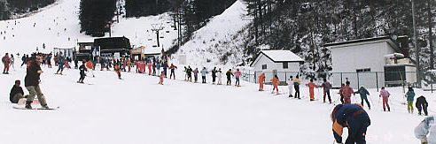 �ۏ�����