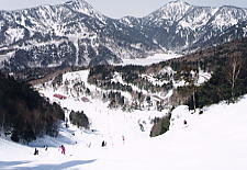 �ۏ�����