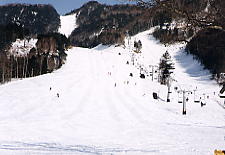 �ۏ�����