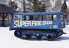 �ۏ�����