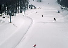 �ۏ�����