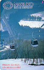 �e���J�@�q