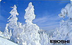 �e���J�@�������ڂ�