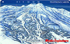 �������̌�