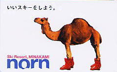 �e���J�@�m��������